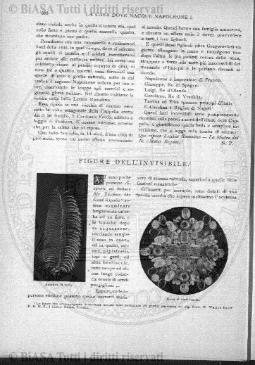 n. 9b (1829) - Pagina: 113