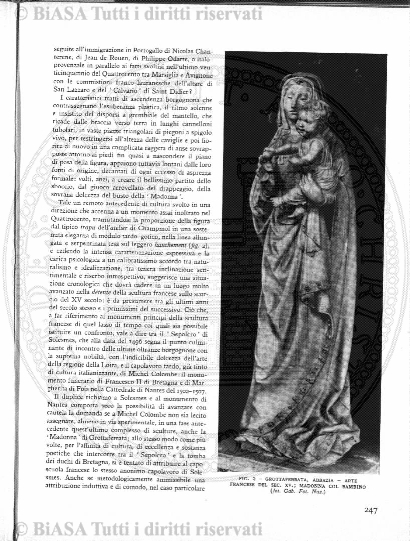 n. 11 (1911) - Pagina: 393