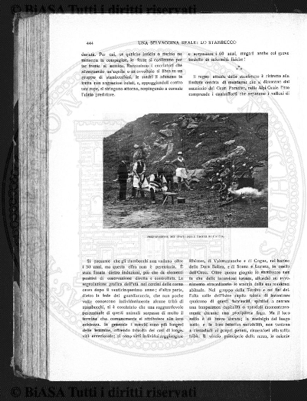 v. 10, n. 39 (1783-1784) - Pagina: 305