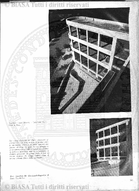 n. 39-40 (1874-1875) - Pagina: 305