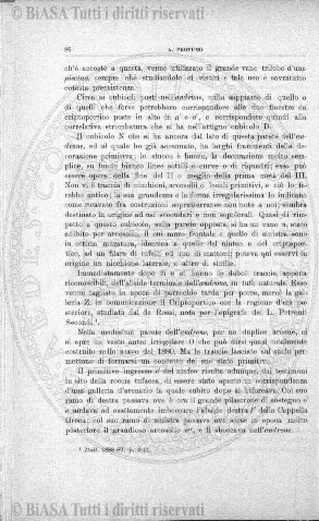 n. 31 (1879-1880) - Pagina: 241