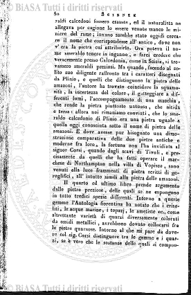 n. 11 (1898) - Pagina: 85