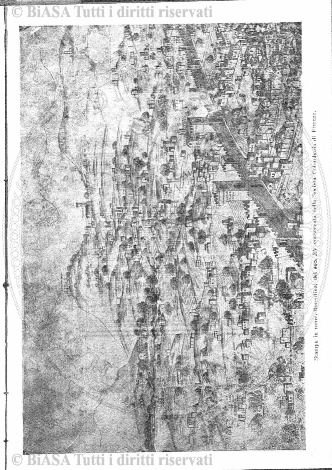 n. 6 (1864) - Pagina: 41