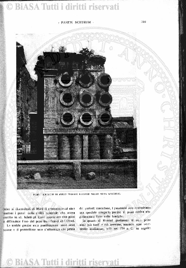 n. 49 (1914) - Copertina: 1