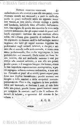 n. 8-10 (1923) - Pagina: 1
