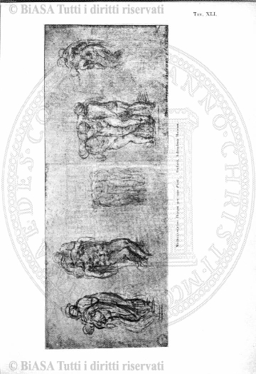 n. 11 (1885) - Pagina: 21