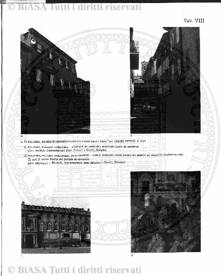 s. 3, n. 6 (1894) - Pagina: 81