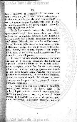 s. 3, n. 21 (1904) - Pagina: 137 e sommario