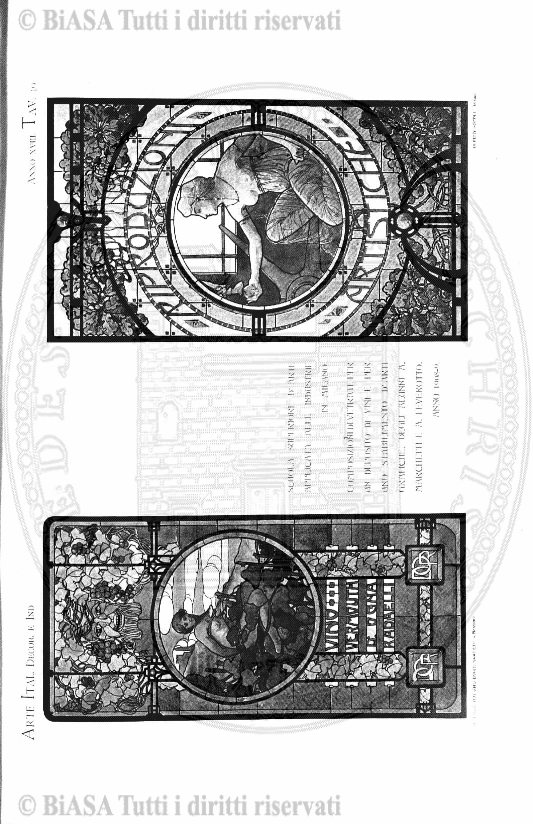 n. 17 (1916) - Copertina: 1