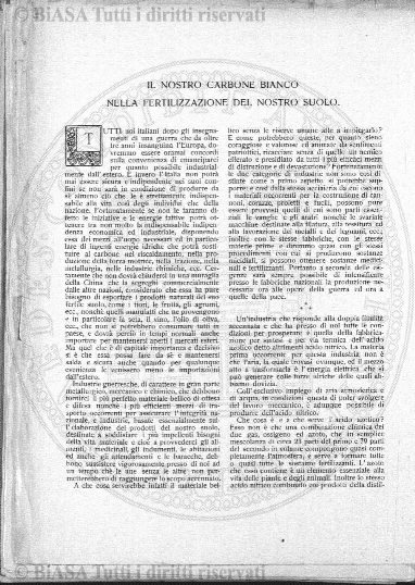 s. 6, n. 114 (2000) - Copertina: 1