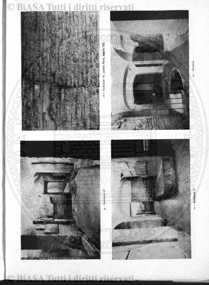 n. 52 (1890-1891) - Pagina: CXLI